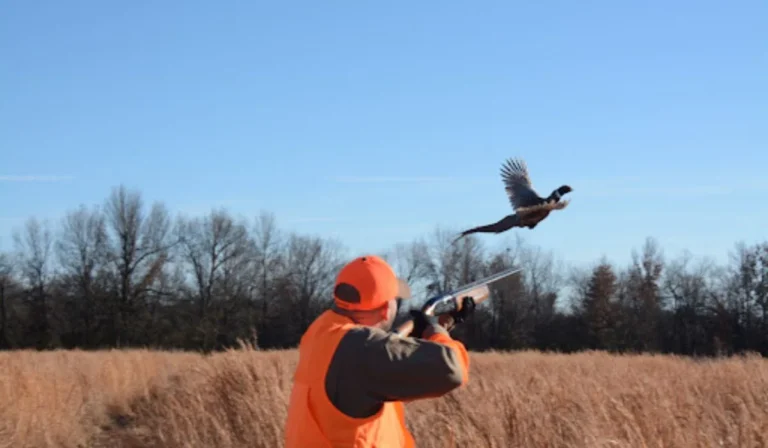 Is It Illegal to Shoot Birds