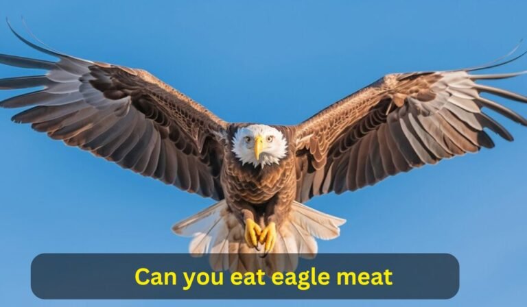 Can you eat eagle meat