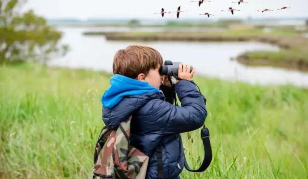 Is Bird Watching a Popular Hobby?