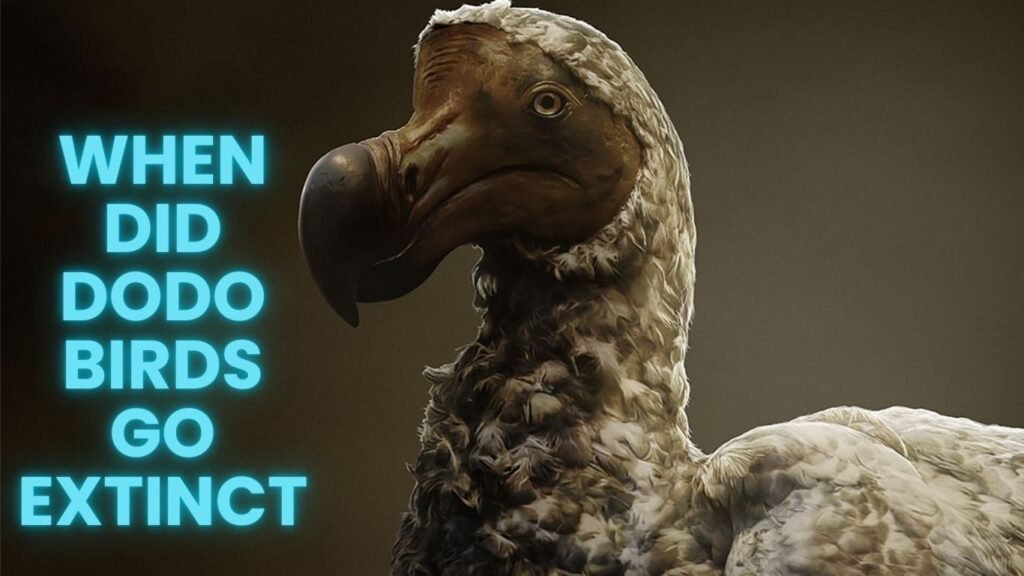 When Did Dodo Birds Go Extinct